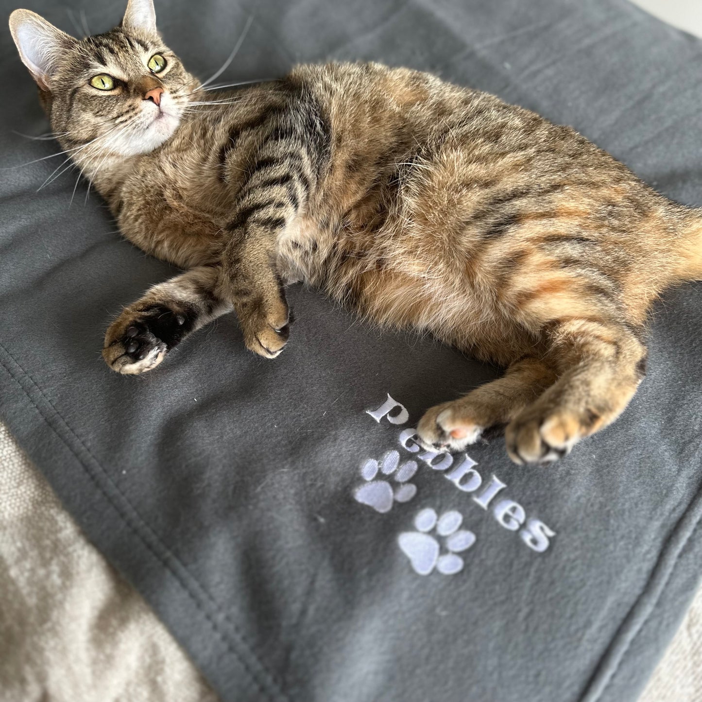 Personalised Pet Blanket with Name, Bedding Blanket for Pet, Fleece Embroidered Cat Blanket, Paw print Gift